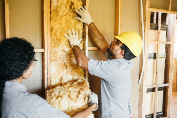 Best Commercial Insulation Services  in Davie, FL